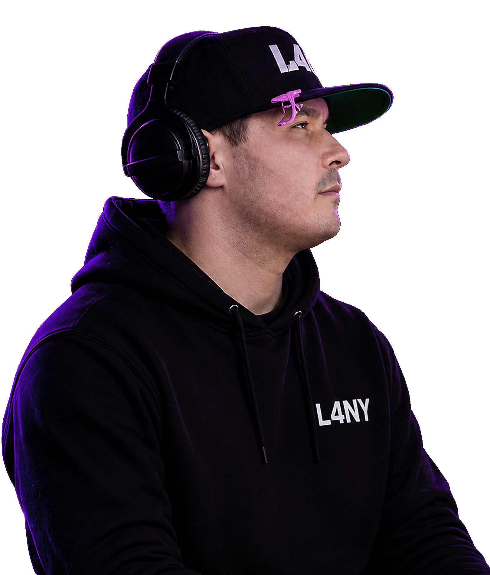 l4ny Hero